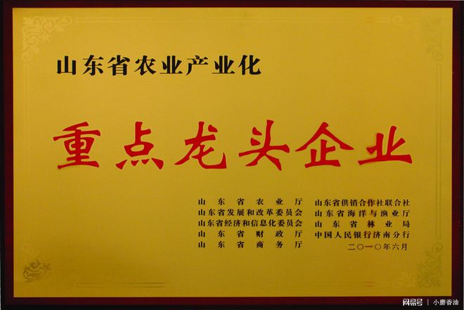 辉煌七十年,赋能新时代!瑞福油脂获得食品行业功勋企业称号!